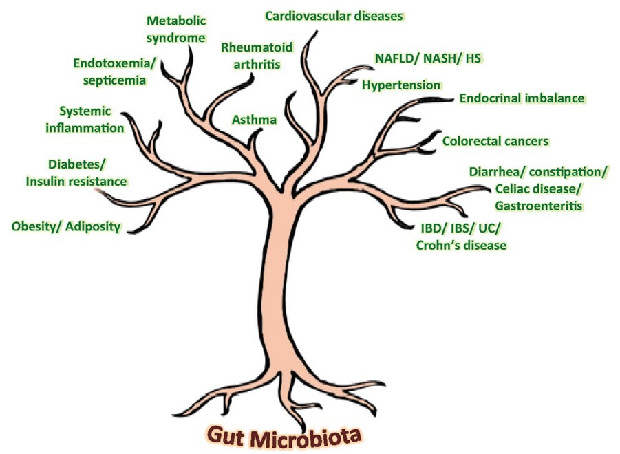 microbioma