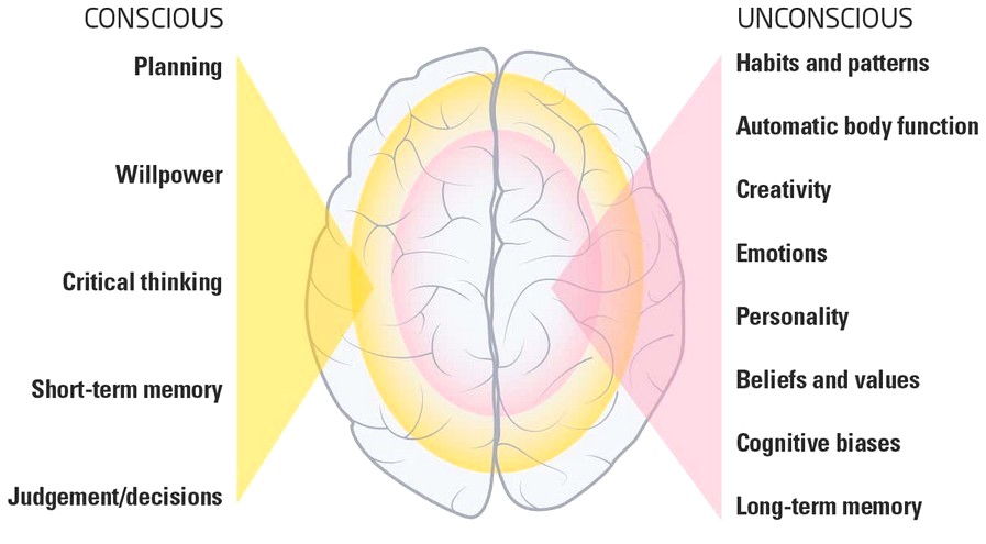 brain