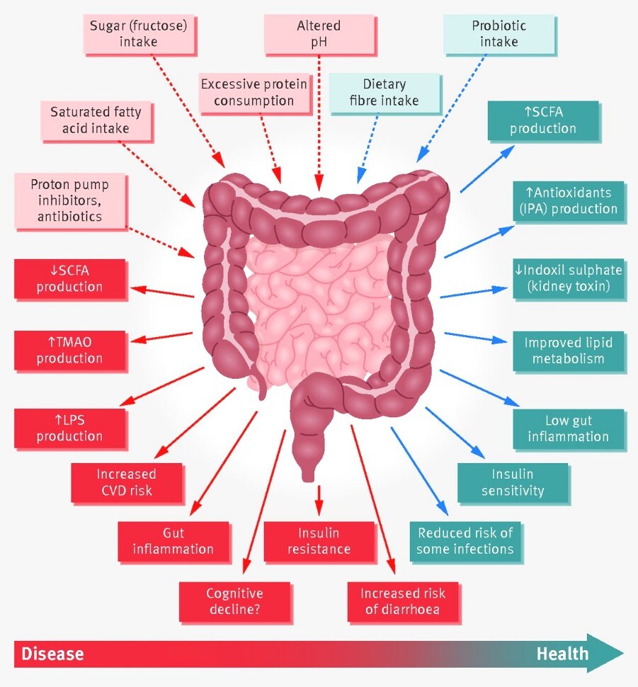 microbiota malattie