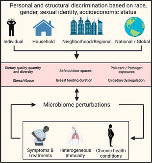 Gut microbiome