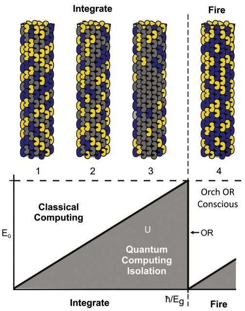 fisica quantistica