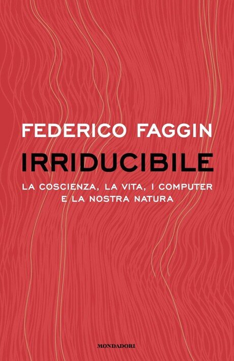 Federico Faggin