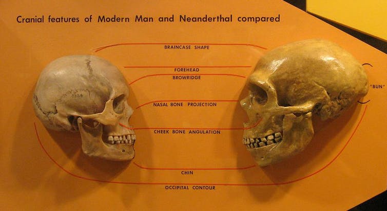 Prehistoria