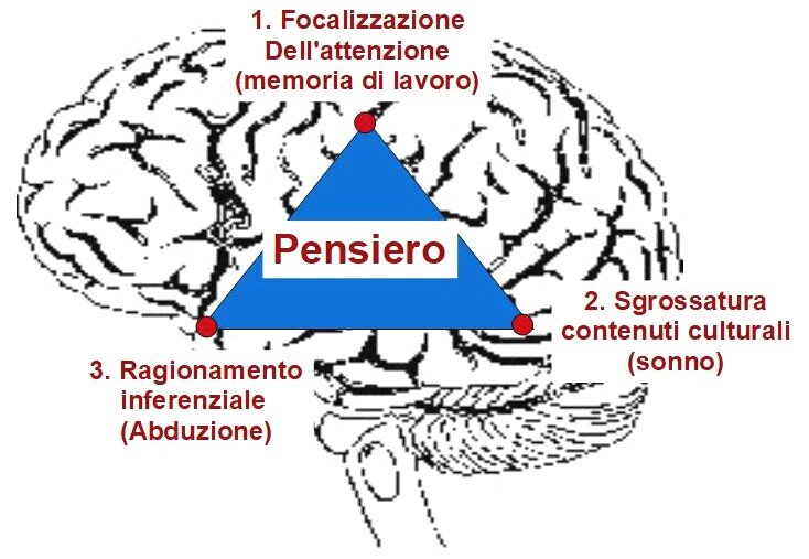 aree neuronali