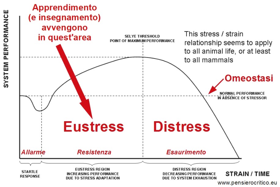 Eustress - Distress