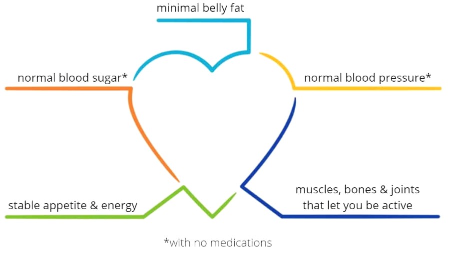 metabolism