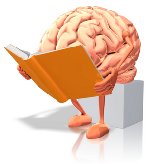 cervello che legge
