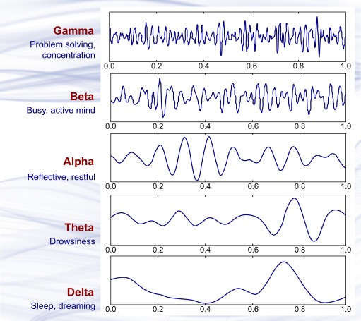 brain activity