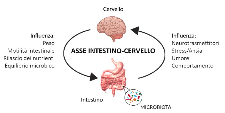 microbioma