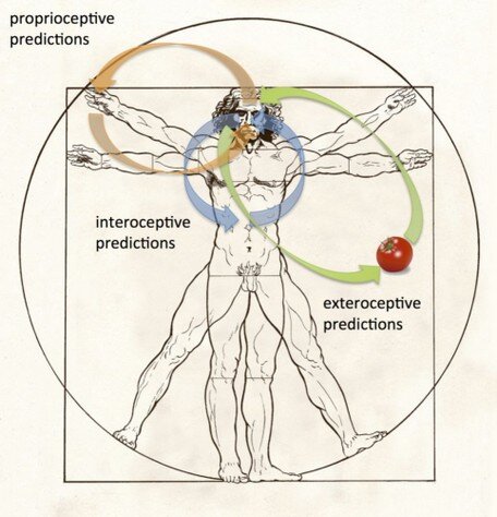 propriocezione interocezione esterocezione