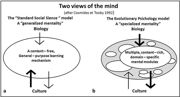 Evoluzionismo