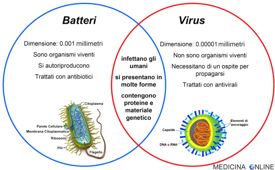 immunoterapia