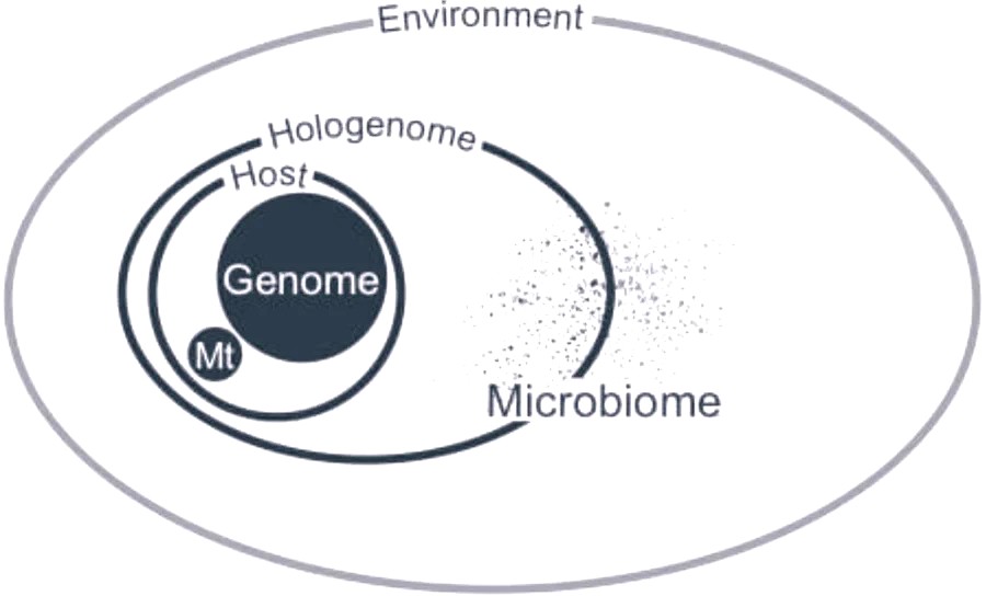 olobionte microbioma