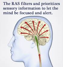 reticular activating system